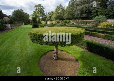 Jardins magnifiquement entretenus à Cliveden House, Buckinghamshire, Angleterre Banque D'Images