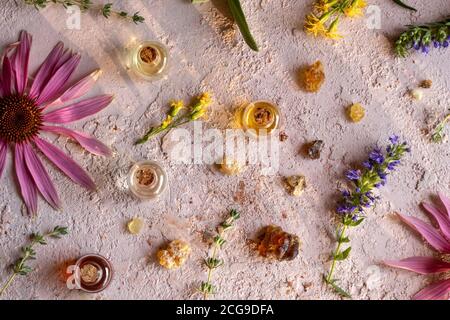 Bouteilles d'huile essentielle avec encens, échinacée, verge rouge européen, hyssop et autres herbes sur fond rose Banque D'Images