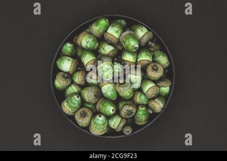 Composition abstraite d'acornes de chêne dans un bol en fonte sur fond noir mat avec espace de copie Banque D'Images