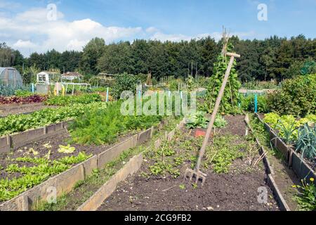 Jardin hollandais en automne avec équipement de jardin Banque D'Images