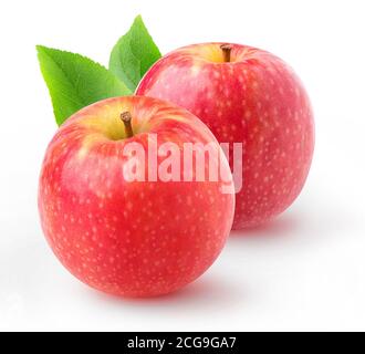 Pommes rouges isolées. Deux pommes entières Pink Lady isolées sur fond blanc Banque D'Images