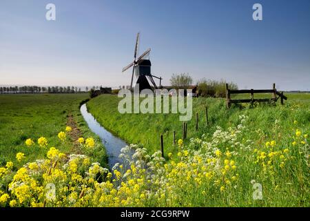 Le moulin à vent de Wingerdse près du village hollandais de Bleskensgraaf au printemps Banque D'Images