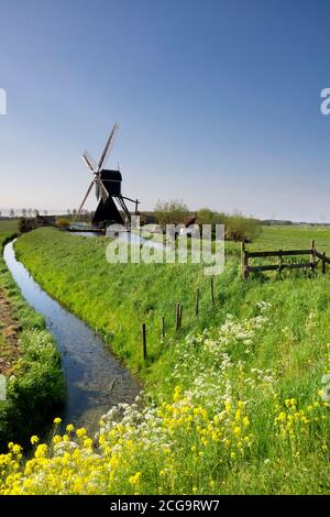 Le moulin à vent de Wingerdse près du village hollandais de Bleskensgraaf au printemps Banque D'Images