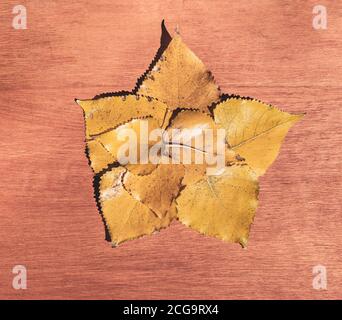 Pose plate de feuilles d'automne jaunes formant un pentagone contre un arrière-plan en bois rouge Banque D'Images