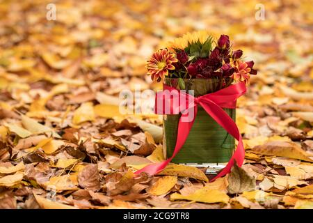 Magnifique arrangement floral en vase parmi les feuilles d'automne Banque D'Images