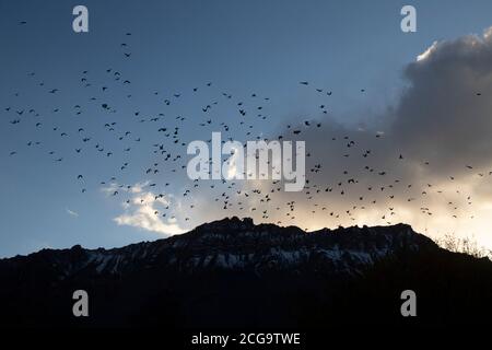 Textures naturelles et motifs étranges au large des collines et des rivières de la vallée de Spiti - lumière et ombre, véhicule touristique et oiseaux Banque D'Images