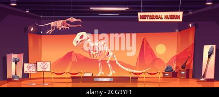 Squelette de dinosaure dans le musée de l'histoire. Dino tyrannosaurus fossiles de rex et de ptérodactyles et objets anciens à l'exposition paléontologique. Paléontologie archéologie science dessin vectoriel de dessin animé Illustration de Vecteur