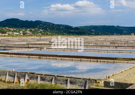 Sicciole, Slovénie (23 août 2020) -les salines de la Sicciole, la plus septentrionale des salines méditerranéennes Banque D'Images