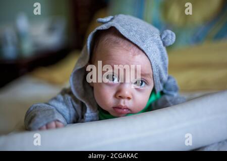 Sweat-shirt gris pour bébé avec oreilles qui se posent sur un oreiller à la caméra avec de grands yeux bruns Banque D'Images