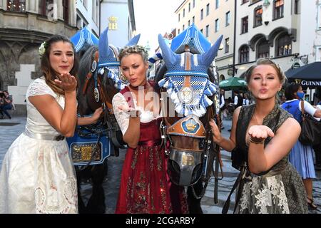 Munich, Allemagne. 09e septembre 2020. Le Wiesnplaymate 2019 Stella Stegmann (l-r) le Wiesnplaymate 2020, Natascha Hofmann et le Wiesnplaymate 2017, Patrizia Dinkel, se présentent à la présentation du Playboy Wiesn-Playmate 2020 en face de la Hofbräuhaus à Platzl avec un cheval et un chariot de la brasserie Hofbräu. Le magazine Playboy a présenté un Wiesn-Playmate cette année, bien que l'Oktoberfest ne se déroule pas du tout en raison de la pandémie de Corona. Credit: Felix Hörhager/dpa/Alay Live News Banque D'Images