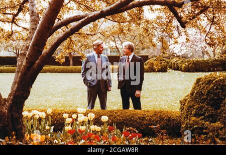 Dans cette photo publiée par la Maison Blanche, le président des États-Unis Jimmy carter et le vice-président des États-Unis Walter Mondale se sont réunis dans le jardin des roses de la Maison Blanche à Washington, DC le 13 avril 1978.Credit: White House via CNP | usage dans le monde entier Banque D'Images