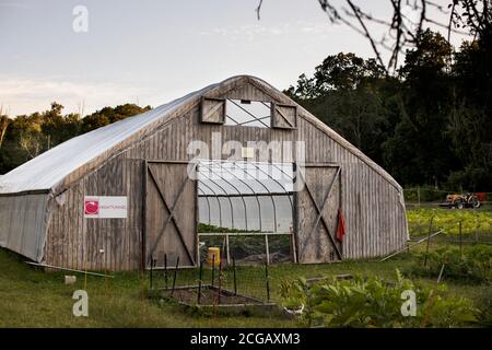 Un bâtiment en serre à la ferme communautaire Littleton à Littleton, Massachusetts, États-Unis. Banque D'Images