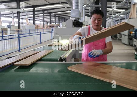 Suifenhe. 9 septembre 2020. Un employé travaille à un atelier d'une entreprise de transformation du bois dans la sous-région de Suifenhe de la zone pilote de libre-échange (FTZ) de Heilongjiang, dans la province de Heilongjiang, dans le nord-est de la Chine, le 9 septembre 2020. Couvrant une superficie de 19.99 kilomètres carrés, la sous-zone de Suifenhe de la zone pilote de libre-échange de Heilongjiang (FTZ) a atteint cette année 308 millions de yuans (45 millions de dollars américains) avec environ 91,200 000 résidents frontaliers, selon le département provincial du commerce. Credit: Zhang Tao/Xinhua/Alay Live News Banque D'Images