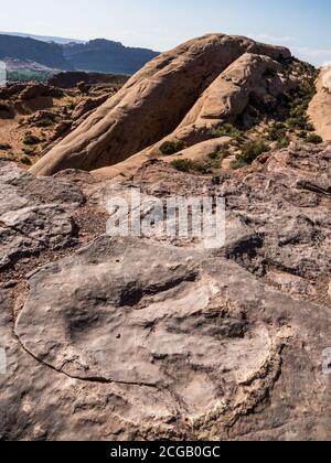 Allosaurus traces de dinosaures de la fin de la période jurassique dans le grès Navajo dans le terrain de loisirs Sandflats près de Moab, Utah. Banque D'Images