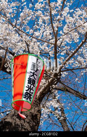 Lanterne en papier au festival des cerisiers en fleurs d'Ueno Banque D'Images