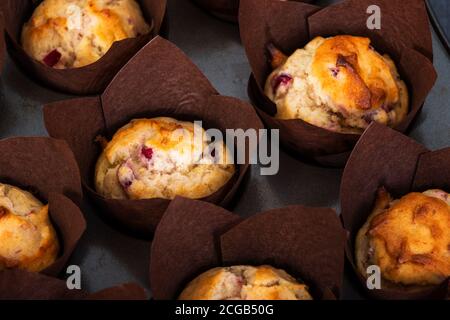 Muffins à l'orange aux canneberges fraîchement cuits faits maison dans des moules à muffins en papier de tulipe marron. Banque D'Images