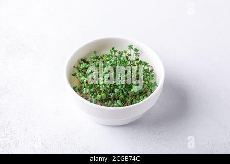 La moutarde Microgreen s'est entartée dans un bol sur fond blanc. Micro verts en croissance. Concept de saine alimentation. Gros plan - image Banque D'Images