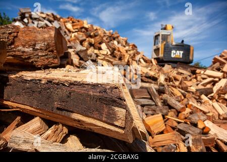 Queenstown, MD, USA 09/05/2020: Un site d'exploitation forestière où les arbres de la forêt voisine sont hachés et coupés en bois. Une pelle hydraulique Cat travaille sur le tas Banque D'Images