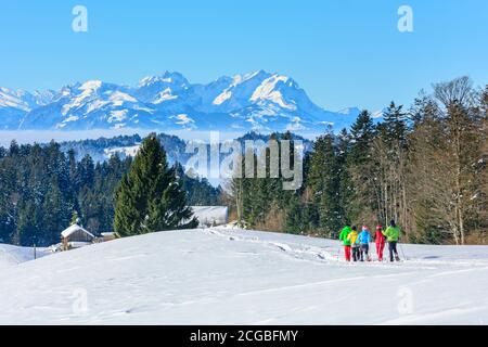 Groupe explorant la nature en faisant une randonnée avec des raquettes à neige à un belle journée en hiver Banque D'Images