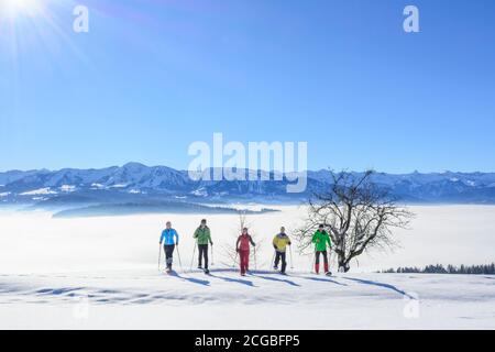 Groupe explorant la nature en faisant une randonnée avec des raquettes à neige à un belle journée en hiver Banque D'Images