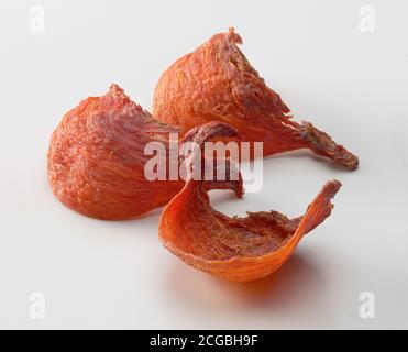 Nid d’oiseau frais et comestible sur fond blanc Banque D'Images