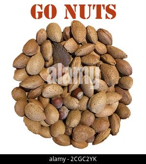 Un cercle de noix mélangées comprenant des amandes, des noisettes, des noix du Brésil, des noix. Les noix sont une bonne source de protéines. Banque D'Images