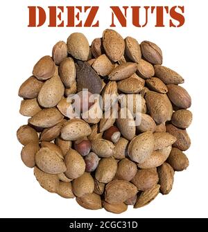 Un cercle de noix mélangées comprenant des amandes, des noisettes, des noix du Brésil, des noix. Les noix sont une bonne source de protéines. Banque D'Images