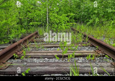 Railroad track serpentant à travers forêt Banque D'Images