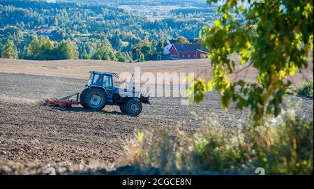 Vieux tracteur dans les champs, automne Banque D'Images