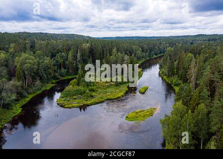 Paysage d'été d'en haut avec la rivière Gauja, qui serpente à travers les forêts mixtes d'arbres, parc national de Gauja, Lettonie Banque D'Images