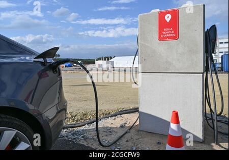 09 septembre 2020, Brandebourg, Grünheide: Dans un parking sur le site de construction du Gigafactory de Tesla, un véhicule électrique de Tesla est chargé à une station de charge. À partir de juillet 2021, un maximum de 500,000 véhicules par an doivent sortir de la chaîne de montage à l'usine - et selon les plans du constructeur automobile, le maximum doit être atteint le plus rapidement possible. Le constructeur automobile américain s'attend à ce que jusqu'à 10,500 employés travaillent par quarts dans sa première usine prévue en Europe pour l'instant. Photo: Patrick Pleul/dpa-Zentralbild/ZB Banque D'Images