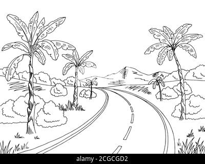 Jungle Road Graphic noir blanc paysage dessin illustration vecteur Illustration de Vecteur