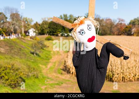 Concours de conception de Scarecrow à la ferme locale pour recueillir des fonds au profit de l'Alliance nationale sur la maladie mentale. Banque D'Images