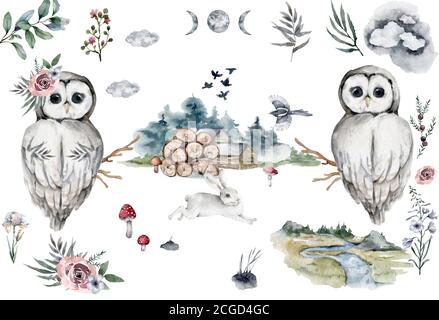 Aquarelle de hibou dessinée à la main réaliste avec élément floral, illustration sur fond blanc Banque D'Images