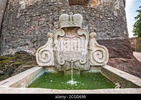 Blason à la cartouche sur le bec d'eau, au château de Nachod, région de Hradec Králové, Bohême, République tchèque Banque D'Images