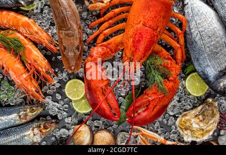Homard entier avec fruits de mer, moules, crevettes, poisson, steak de saumon, poulpe, huîtres et autres coquilles servies sur glace pilée. Banque D'Images