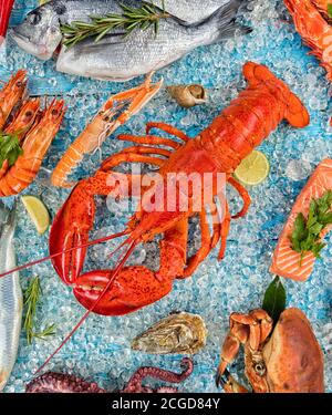 Homard entier avec fruits de mer, crabe, moules, crevettes, poisson, steak de saumon, pieuvre, huîtres et autres coquilles servis sur glace pilée. Banque D'Images