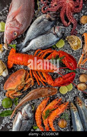 Homard entier avec fruits de mer, crabe, moules, crevettes, poisson, steak de saumon, pieuvre, huîtres et autres coquilles servis sur glace pilée. Banque D'Images