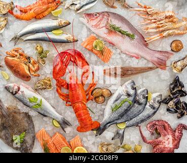 Homard entier avec fruits de mer, crabe, moules, crevettes, poisson, steak de saumon, pieuvre, huîtres et autres coquilles servis sur glace pilée. Banque D'Images