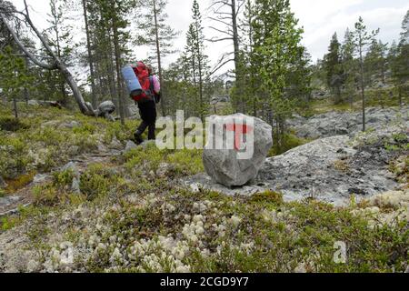 Fille avec backpacing sur un chemin marqué dans le parc national de Femundsmarka, Norvège Banque D'Images