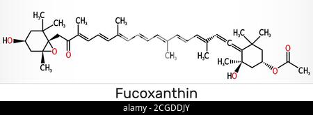 Fucoxanthine, C42H58O6, molécule de xanthophylle. Il a des propriétés anticancéreuses, antidiabétiques, anti-oxydatives, neuroprotectrices. Formule chimique du squelette. Banque D'Images