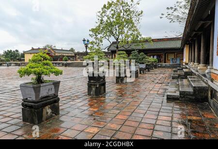 Bonsai arbres dans des pots à la ville impériale, une enceinte fortifiée dans la citadelle de la ville de Huế, Vietnam, Asie du Sud-est, Asie Banque D'Images
