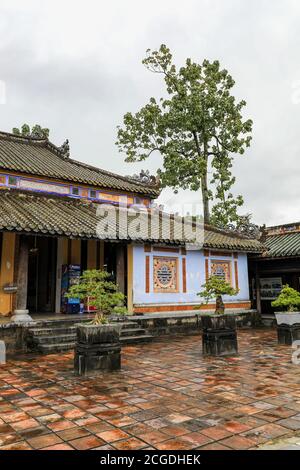 Bonsai arbres dans des pots à la ville impériale, une enceinte fortifiée dans la citadelle de la ville de Huế, Vietnam, Asie du Sud-est, Asie Banque D'Images