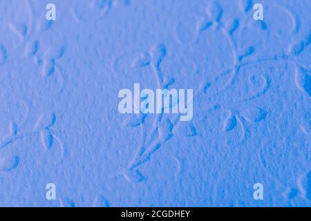 Papier bleu clair avec motif de fleurs en relief Banque D'Images