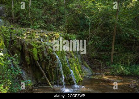 Photo d'une chute d'eau en cascade dans les bois du parc national de Natural Bridge en Virginie. Banque D'Images