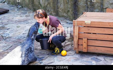Wroclaw, Pologne 08/24/2020. Femme embrassant Phoca vitulina 'Harbour Seal' au zoo. Banque D'Images