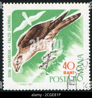 ROUMANIE - VERS 1967 : timbre imprimé par la Roumanie, montre le falcon de Saker, vers 1967 Banque D'Images