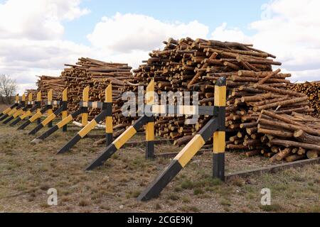 bouquet d'arbres abattus près d'un site d'exploitation forestière. Piles de bois sous ciel bleu Banque D'Images