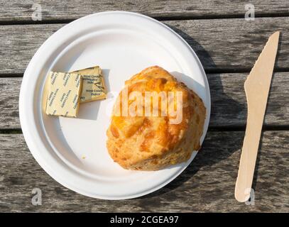 Scone de fromage sur plaque de papier jetable avec couteau en bois et pats de beurre Banque D'Images