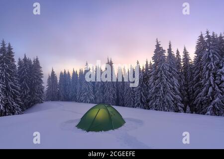 Paysage incroyable par temps froid d'hiver. Coucher de soleil. Sur la pelouse verte tente touristique se dresse avec un large chemin à elle. Belle forêt enneigée avec pins Banque D'Images